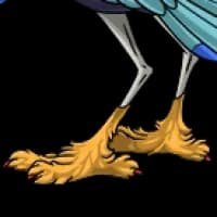 Fluffy Legs male mutation of undefined