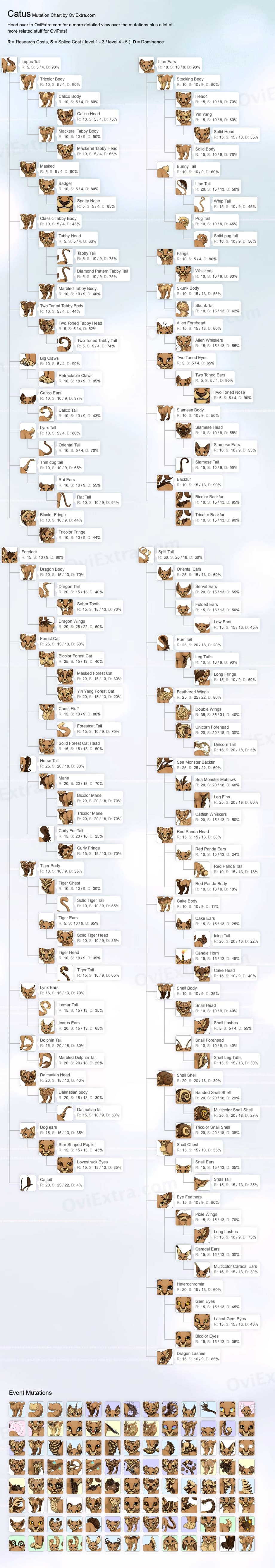 Catus mutation chart image ovipets