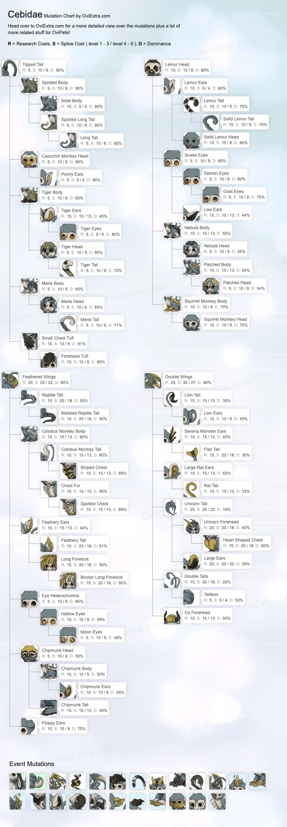 Cebidae mutation chart image ovipets