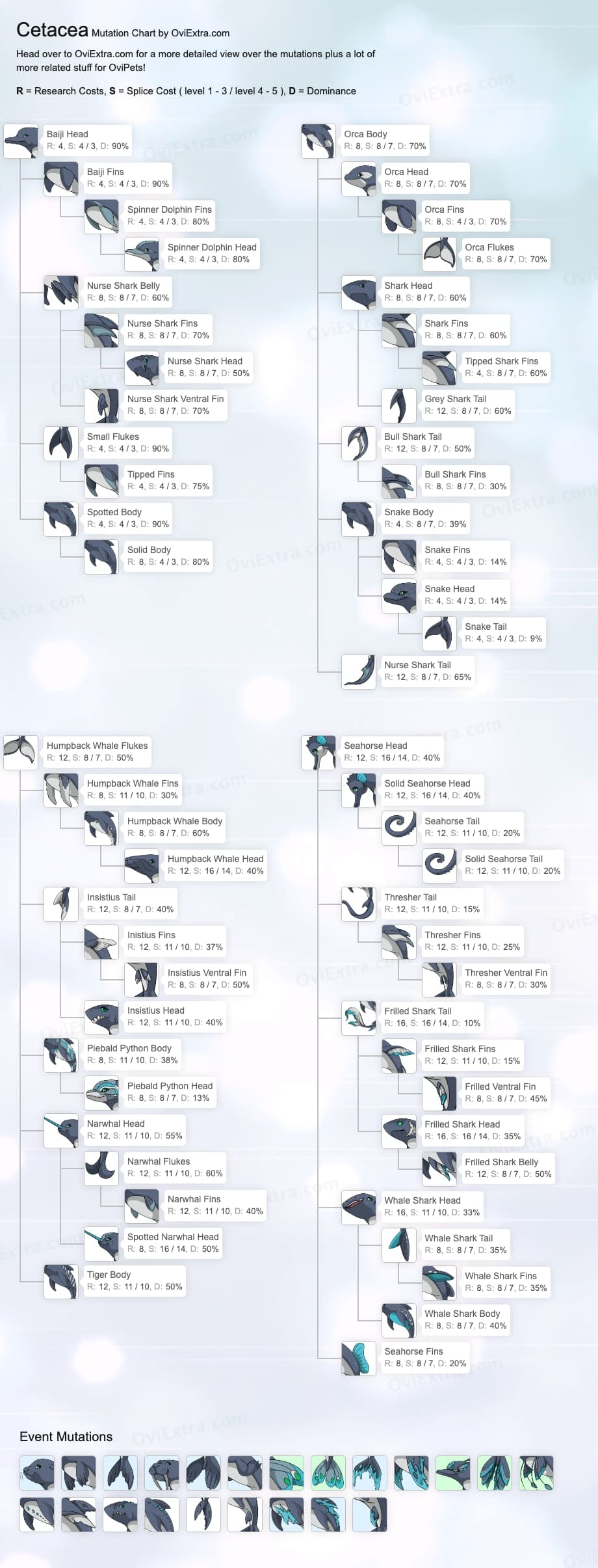 Cetacea mutation chart image ovipets