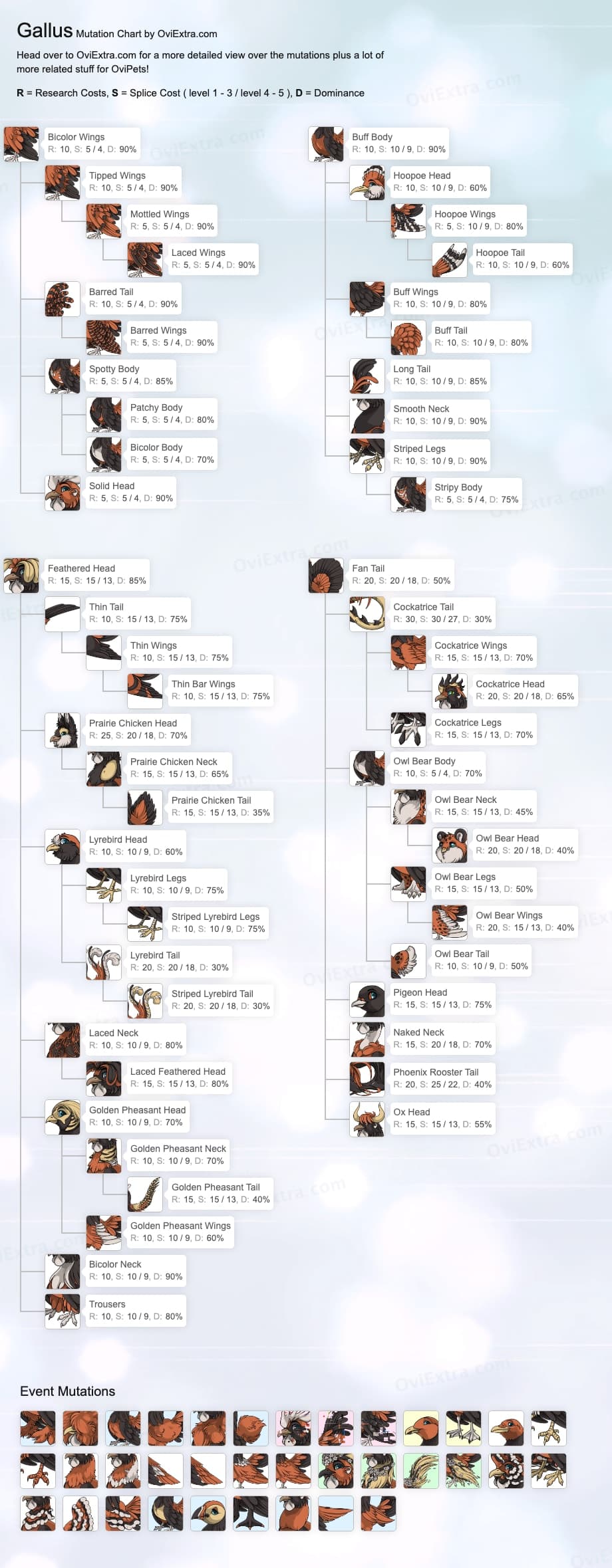 Gallus mutation chart image ovipets