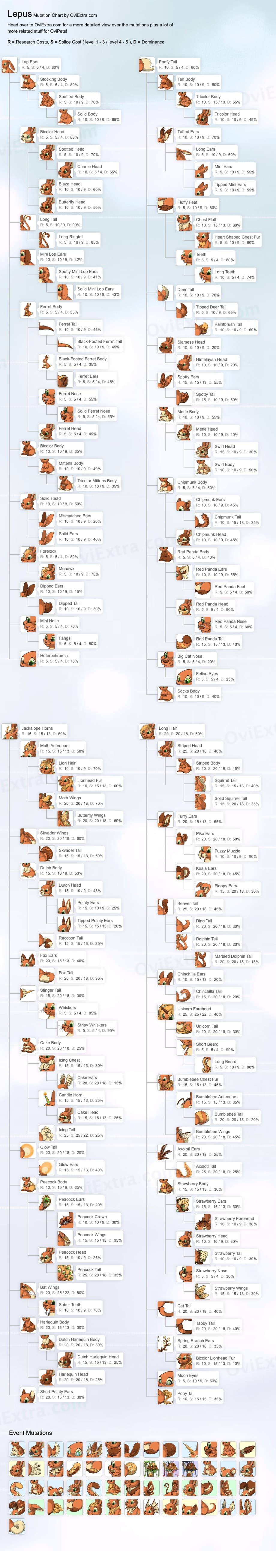 Lepus mutation chart image ovipets