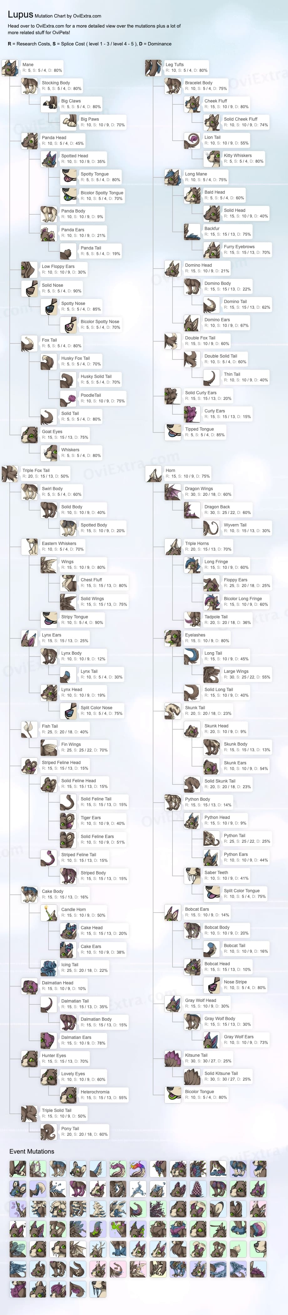 Lupus mutation chart image ovipets