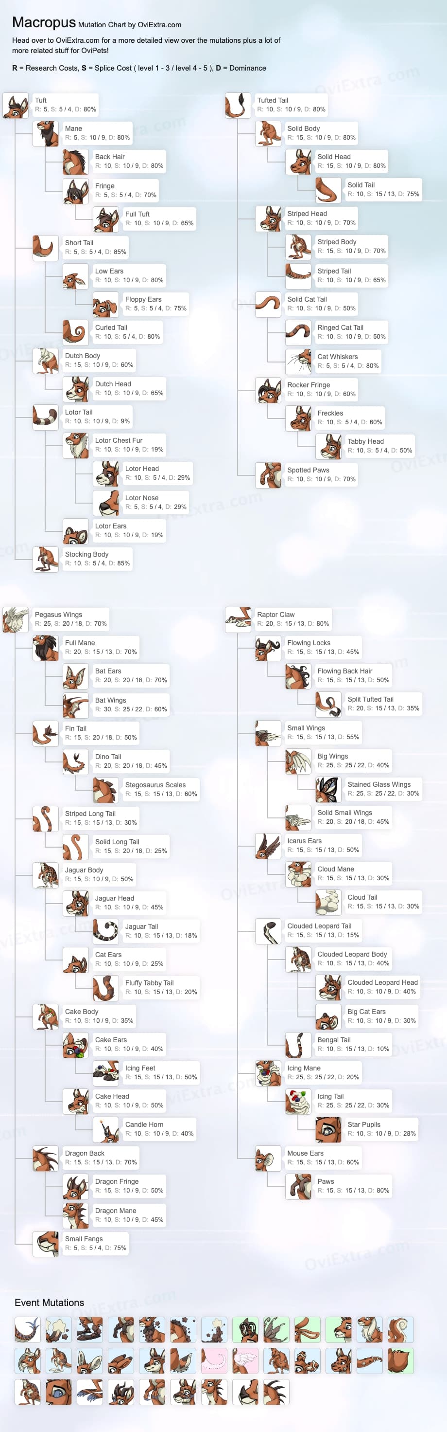Macropus mutation chart image ovipets