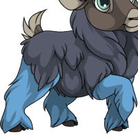 Winter Coat female mutation of undefined