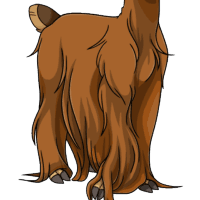 Full Suri female mutation of undefined