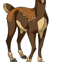 Fawn Body female mutation of undefined