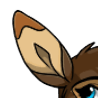 Fawn Ears female mutation of undefined