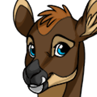 Fawn Head male mutation of undefined