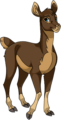 Image of Pacos OviPets