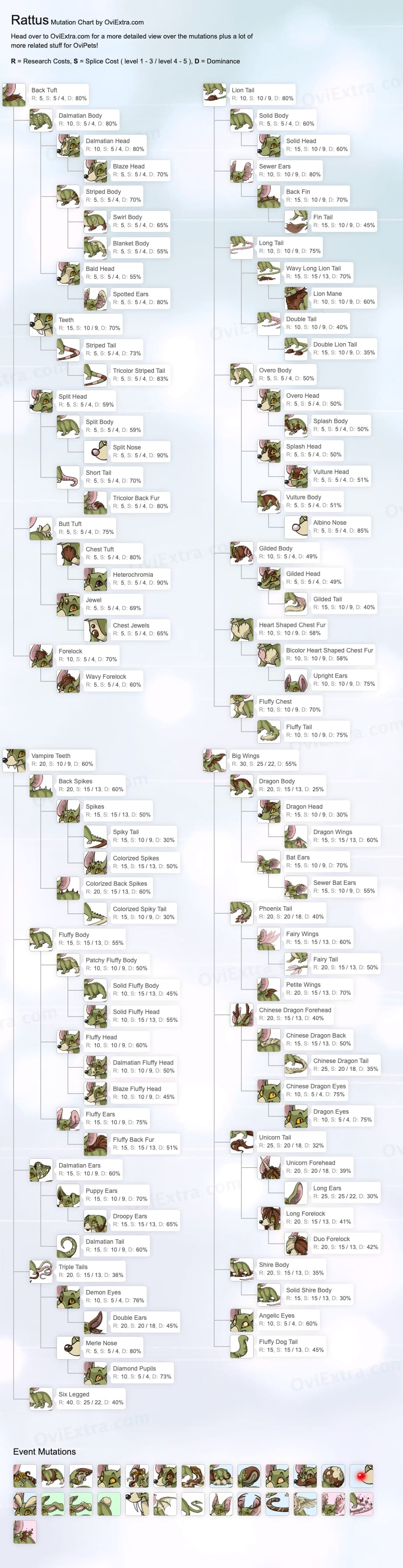 Rattus mutation chart image ovipets
