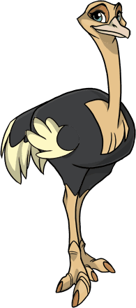 Image of Struthio OviPets