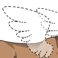 Missing Wings female mutation of undefined