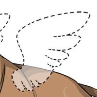 Missing Wings male mutation of undefined