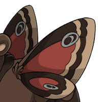Moth Wings male mutation of undefined