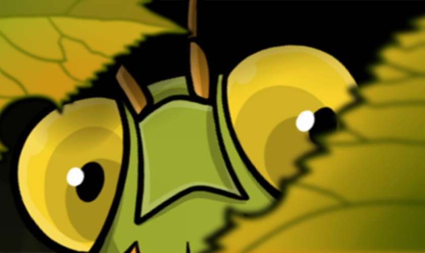 New species: Mantis image