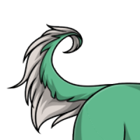 Afghan Hound Tail female mutation of Canis