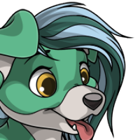 Bicolor Forelock female mutation of Canis