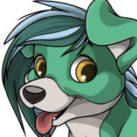 Bicolor Forelock male mutation of Canis