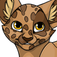 Dalmatian Head male mutation of Catus