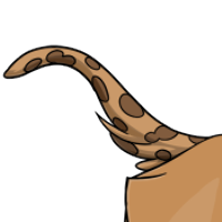 Dalmatian tail female mutation of Catus