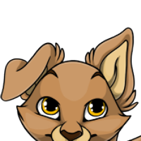 Dog ears male mutation of Catus