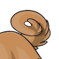 Solid pug tail male mutation of Catus