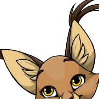 Caracal Ears female mutation of Catus