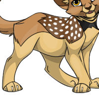 Zebra Finch Body female mutation of undefined