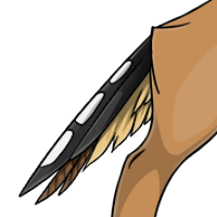 Zebra Finch Tail female mutation of undefined