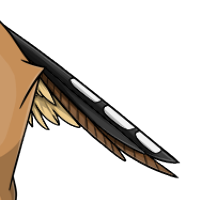 Zebra Finch Tail male mutation of undefined