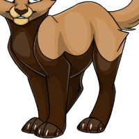 Red Panda Body male mutation of Catus