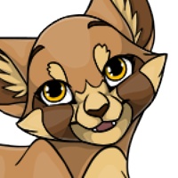 Red Panda Head female mutation of Catus