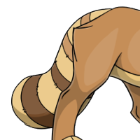 Red Panda Tail female mutation of Catus