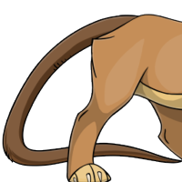 Rat Tail female mutation of Catus