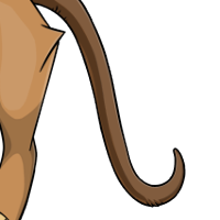 Rat Tail male mutation of Catus