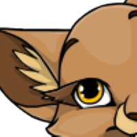 Long Lashes female mutation of Catus