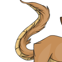 Dragon Tail female mutation of Catus