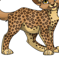 Cheetah Body female mutation of undefined