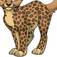 Cheetah Body male mutation of undefined