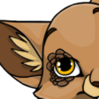 Dragon Lashes female mutation of Catus