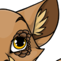 Dragon Lashes male mutation of Catus