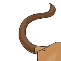 Oriental Tail female mutation of Catus