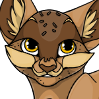 Cake Head male mutation of Catus