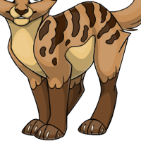 Owl Body male mutation of undefined