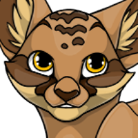 Owl Head male mutation of undefined