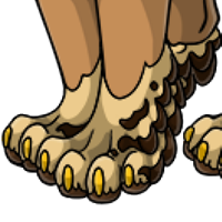 Owl Paws male mutation of undefined