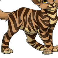 Tiger Body female mutation of Catus