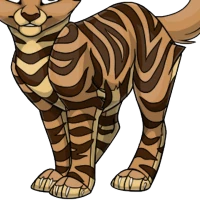 Tiger Body male mutation of Catus