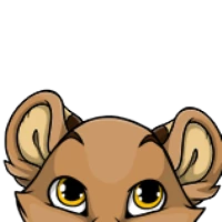 Tiger Ears male mutation of Catus